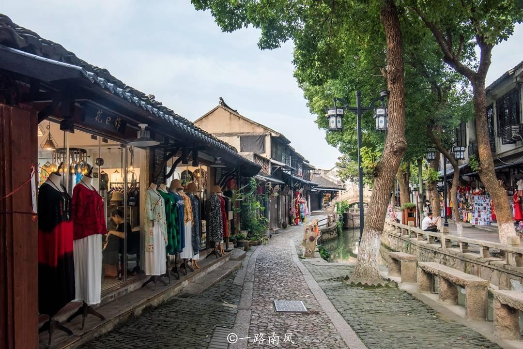 逃离蜥蜴森林